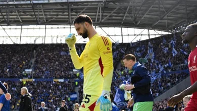 Giorgi Mamardashvili